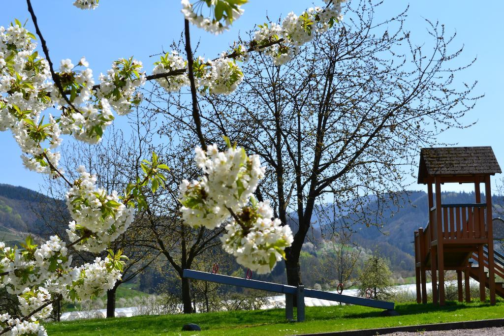 Hotel Die Alm Oberkirch  Exterior photo